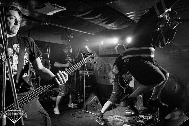 Fotografie z akce: DOG EAT DOG (USA)